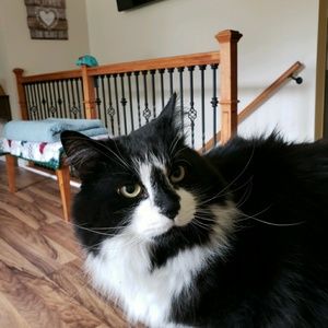 Meet your Posher, Melody